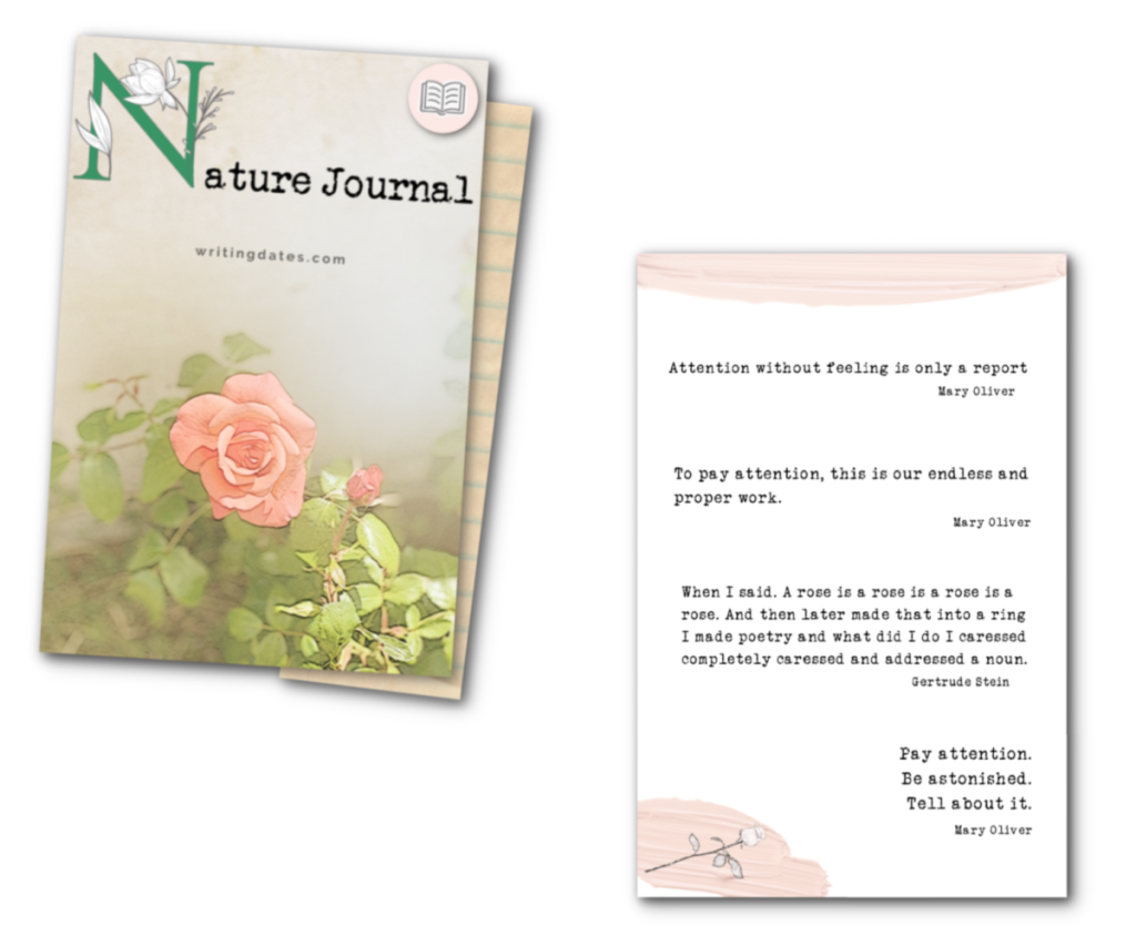 How to Keep a Nature Journal as a Writer